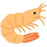 Prawns