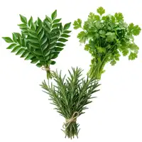 Herbs
