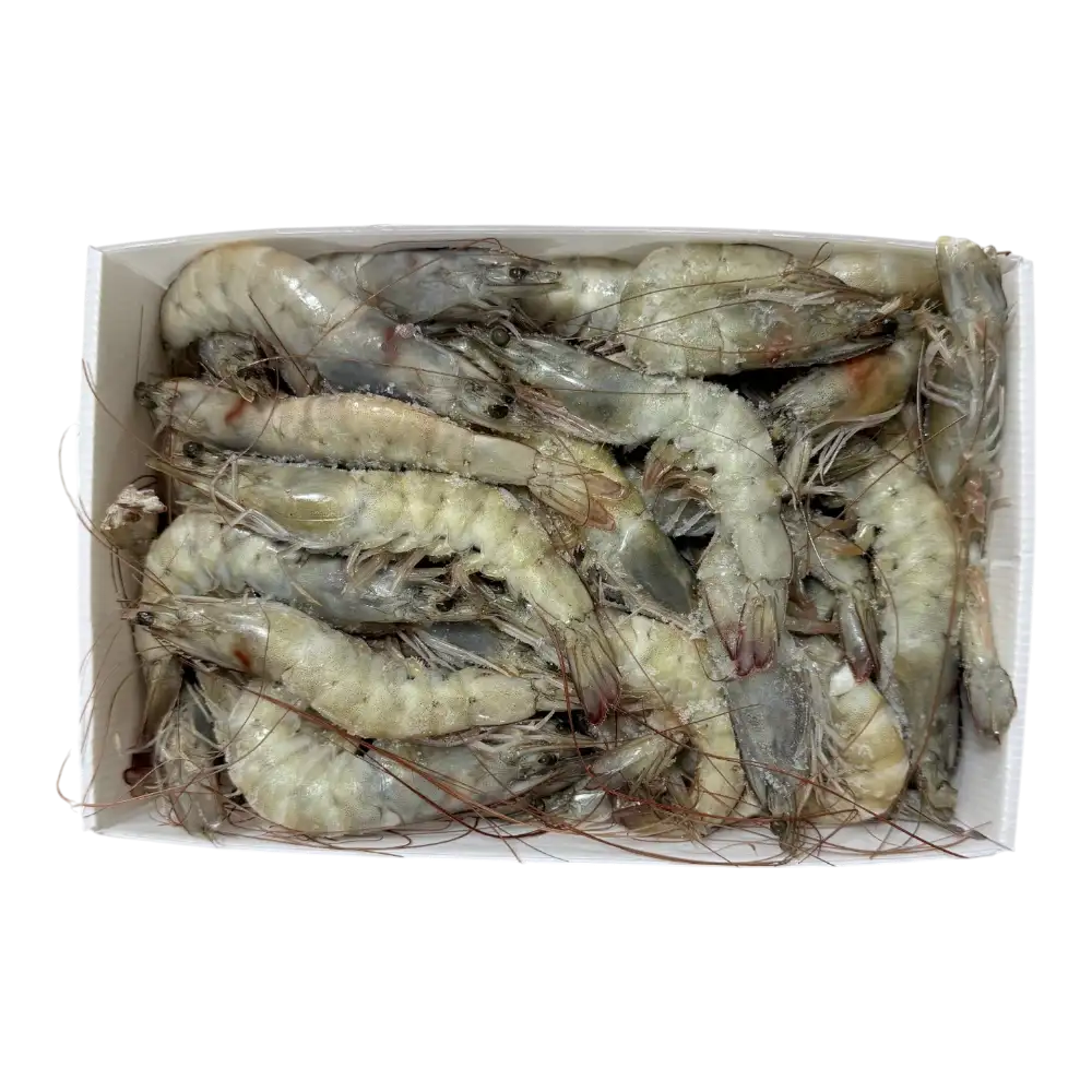 Frescamar Ecuador Prawns 2kg