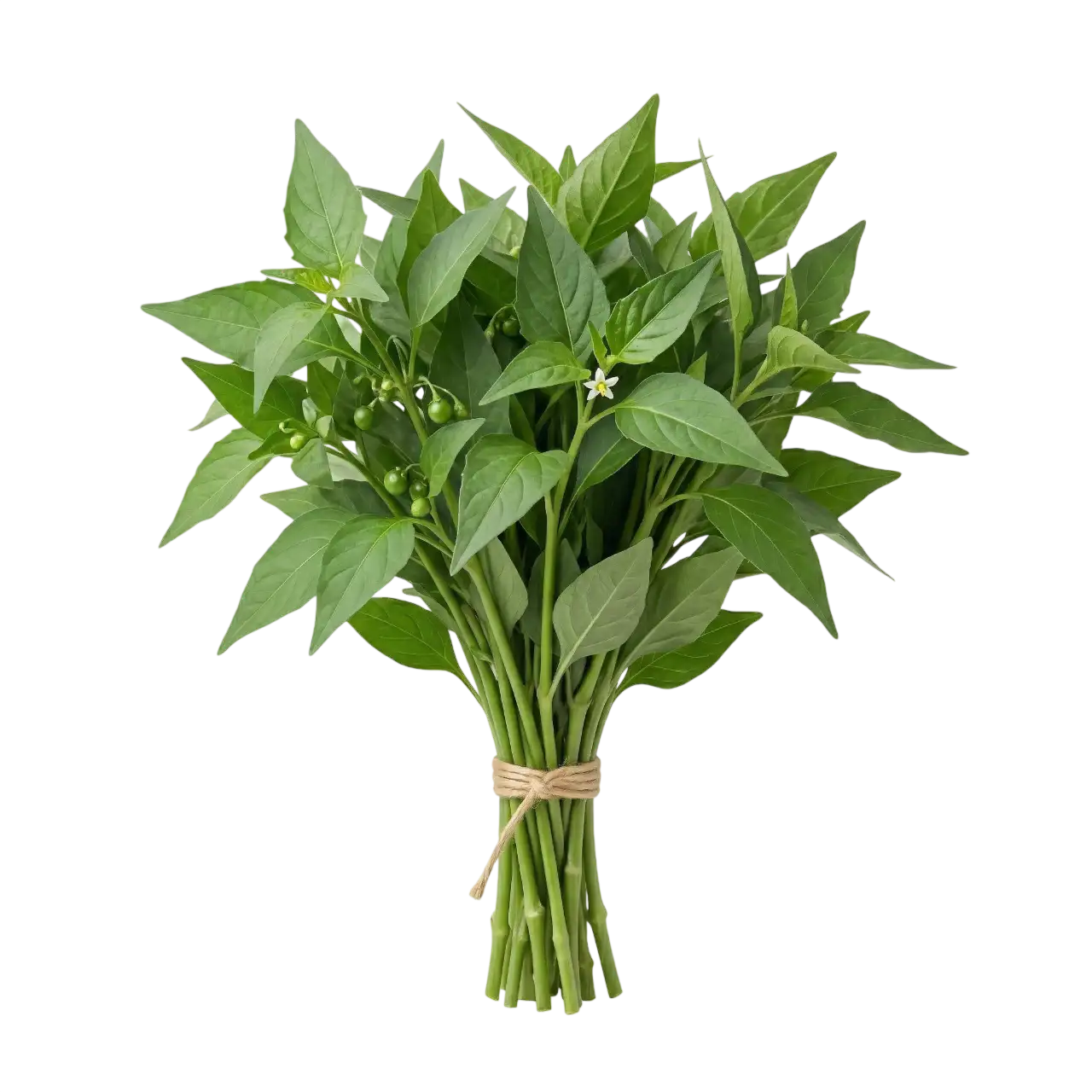 Manathakkali Keerai (Kalu Kamberiya Leaves) Prepack