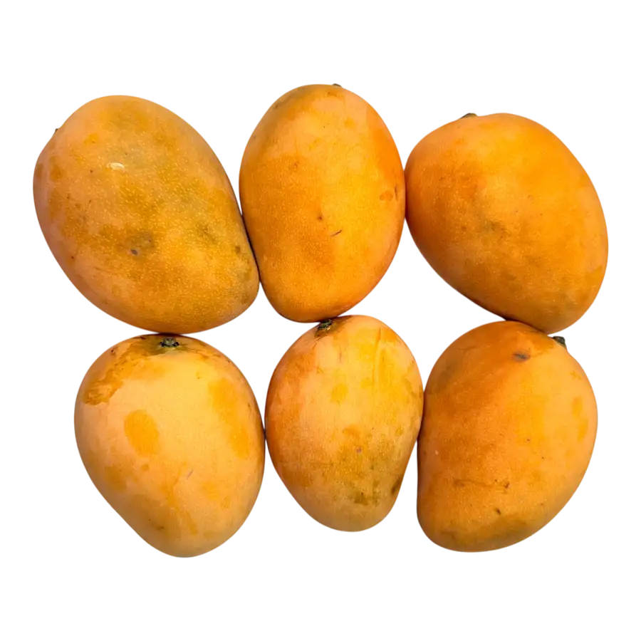Mango Box (6 Mangoes)