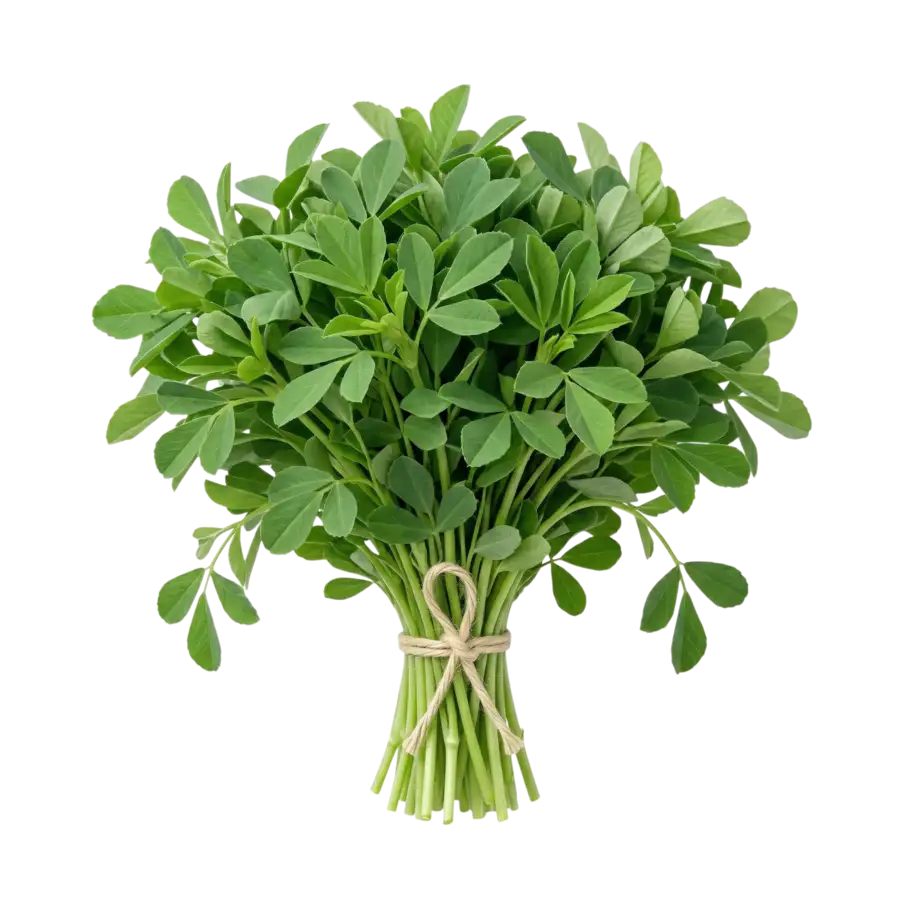 Methi Leaves Bunch