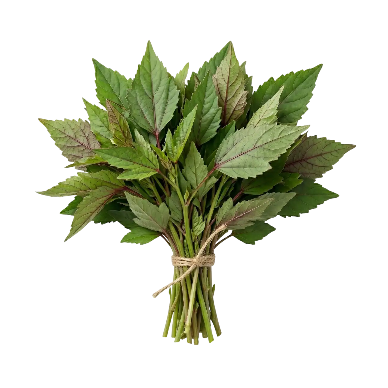 Pulicha Keerai (Gongura Leaves) Prepack