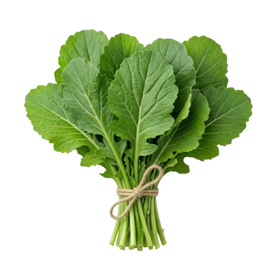 Saag Leaves (Mustard Leaves) Bunch