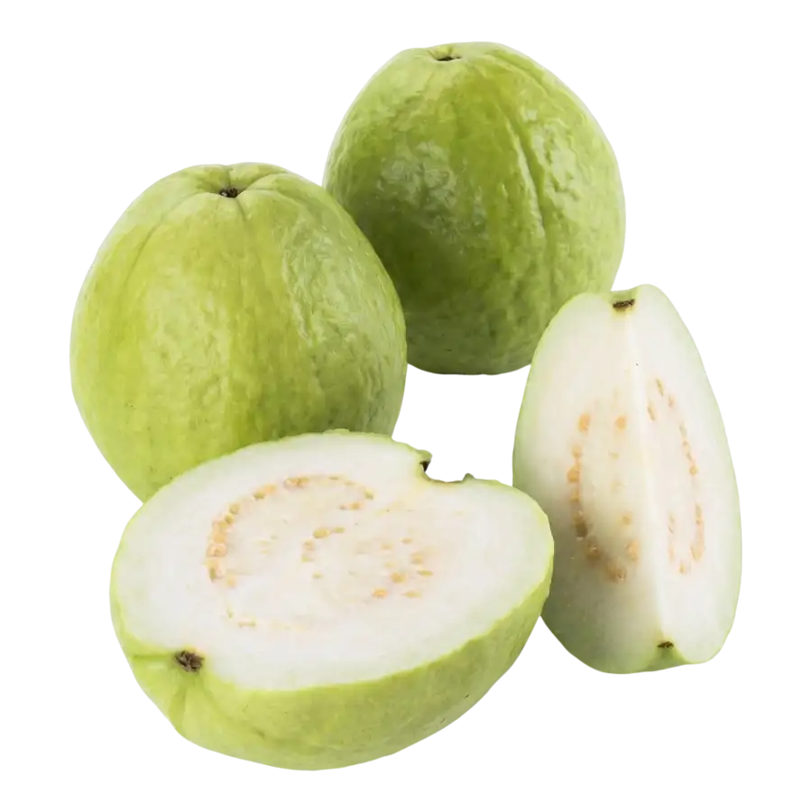 Sri Lankan Guava (Big Size)