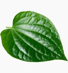 Vethilai (Bulath) - Betal Leaves Each